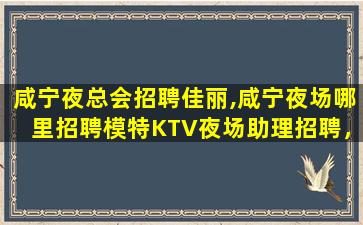 沧州夜总会招聘